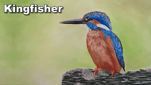 how to paint a kingfisher bird acrylic