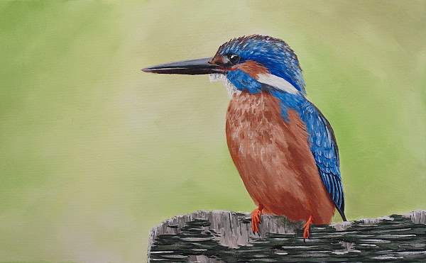 bird painting tutorial acrylic kingfisher