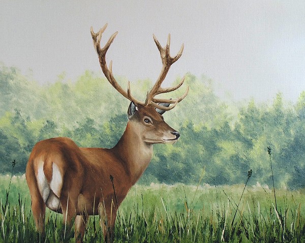 how to paint animals deer buck