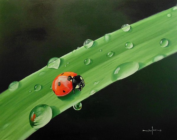 how to paint insects oil ladybug