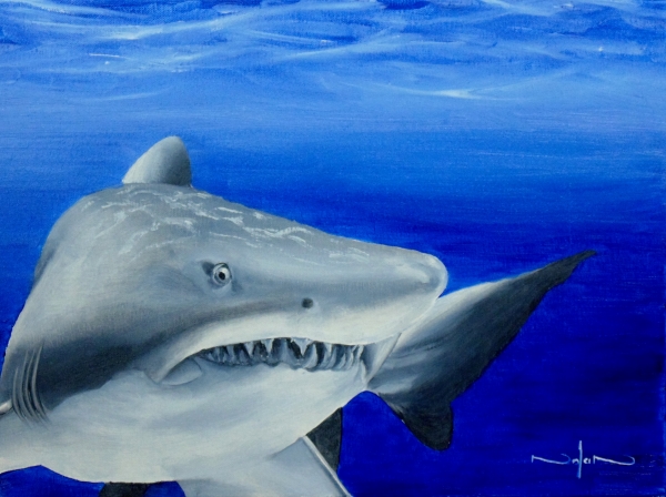 how to paint a great white shark