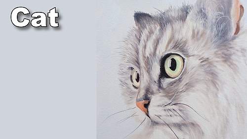how to paint a cat in oil